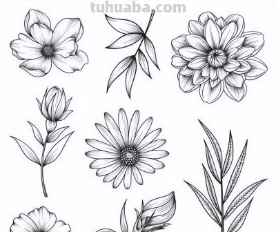 100个花卉简笔画线稿图，临摹学画 - 图画吧TUHUABA