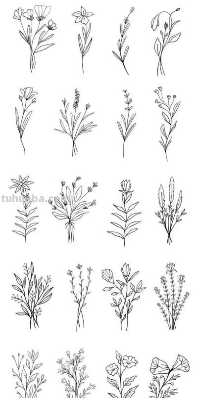 100个花卉简笔画线稿图，临摹学画 - 图画吧TUHUABA