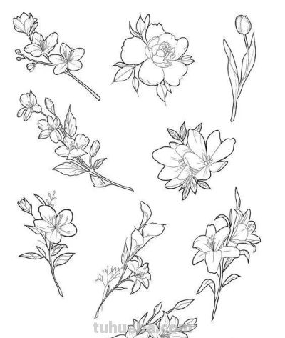 100个花卉简笔画线稿图，临摹学画 - 图画吧TUHUABA