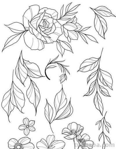 100个花卉简笔画线稿图，临摹学画 - 图画吧TUHUABA
