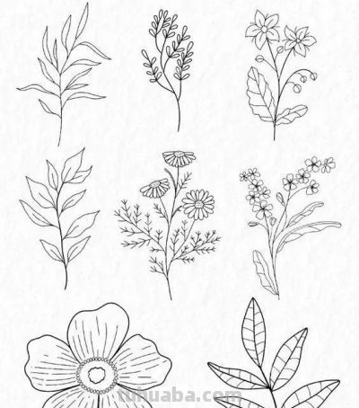 100个花卉简笔画线稿图，临摹学画 - 图画吧TUHUABA