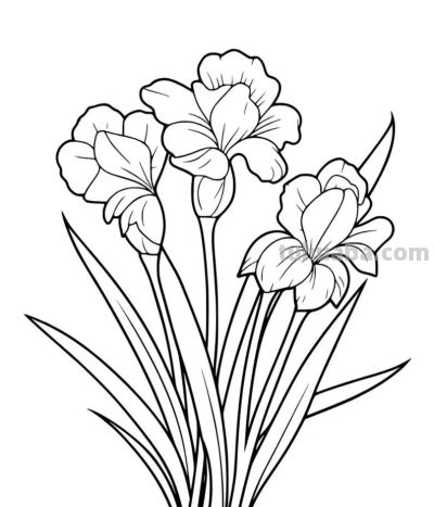 各种花卉简笔画线稿，收藏一份 - 图画吧TUHUABA