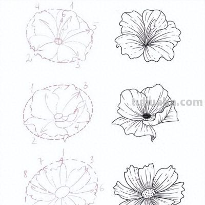 一笔一划的教你画花卉简笔画，有手就能画