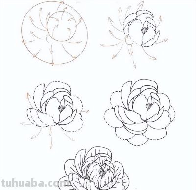 一笔一划的教你画花卉简笔画，有手就能画 - 图画吧TUHUABA