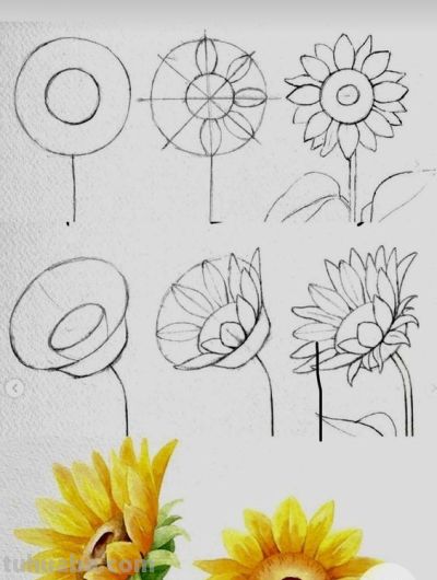 一笔一划的教你画花卉简笔画，有手就能画 - 图画吧TUHUABA