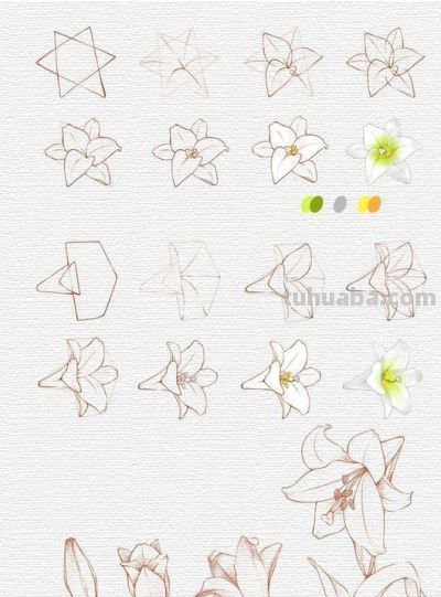 一笔一划的教你画花卉简笔画，有手就能画 - 图画吧TUHUABA