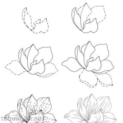 一笔一划的教你画花卉简笔画，有手就能画 - 图画吧TUHUABA