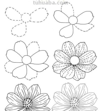 一笔一划的教你画花卉简笔画，有手就能画 - 图画吧TUHUABA