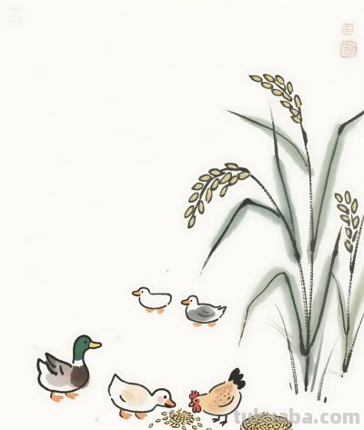 太太太治愈了，稻田里偷吃的鸡鸭，太和谐了 - 图画吧TUHUABA