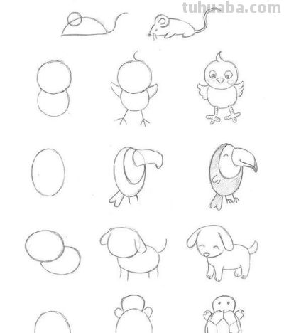 给孩子收藏！32种动物简笔画教程 - 图画吧TUHUABA