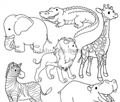 500个动物简笔画素材资料