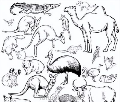 500个动物简笔画素材资料 - 图画吧TUHUABA