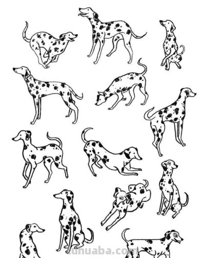 500个动物简笔画素材资料 - 图画吧TUHUABA