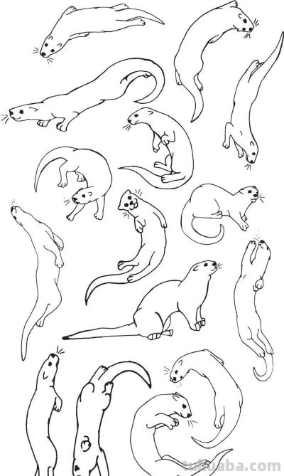 500个动物简笔画素材资料 - 图画吧TUHUABA