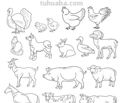 500个动物简笔画素材资料 - 图画吧TUHUABA
