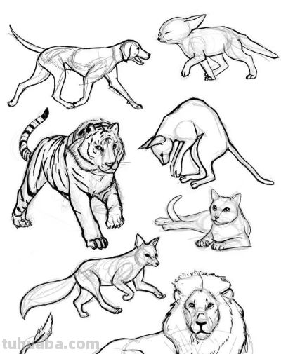 500个动物简笔画素材资料 - 图画吧TUHUABA