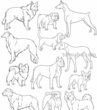 500个动物简笔画素材资料 - 图画吧TUHUABA