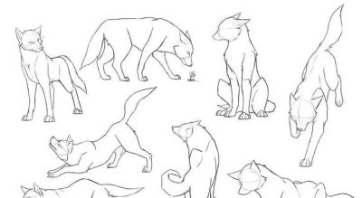 500个动物简笔画素材资料 - 图画吧TUHUABA