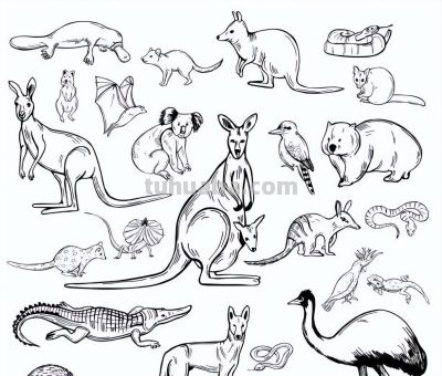 500个动物简笔画素材资料 - 图画吧TUHUABA