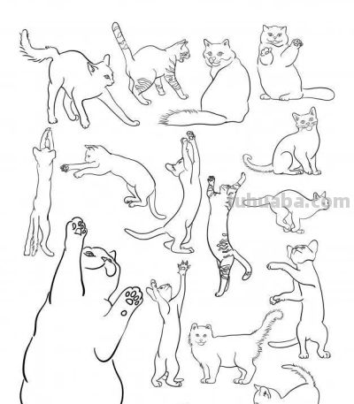 500个动物简笔画素材资料 - 图画吧TUHUABA