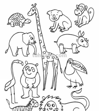 500个动物简笔画素材资料 - 图画吧TUHUABA