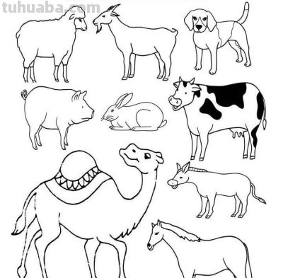 500个动物简笔画素材资料 - 图画吧TUHUABA
