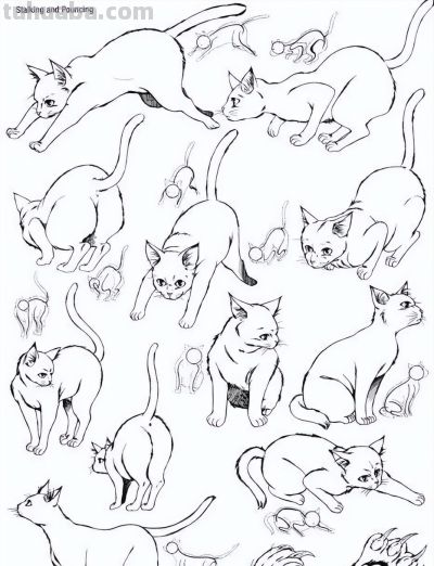 500个动物简笔画素材资料 - 图画吧TUHUABA