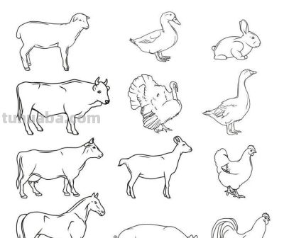 500个动物简笔画素材资料 - 图画吧TUHUABA