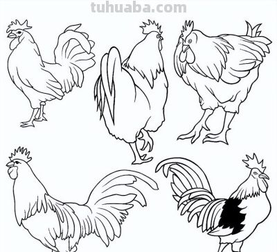 500个动物简笔画素材资料 - 图画吧TUHUABA