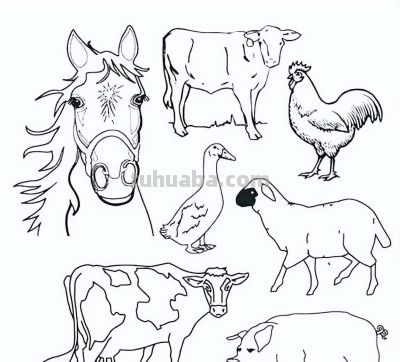 500个动物简笔画素材资料 - 图画吧TUHUABA
