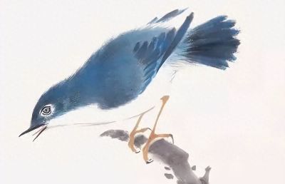 禽鸟绘画入门：从基础形态到灵动姿态