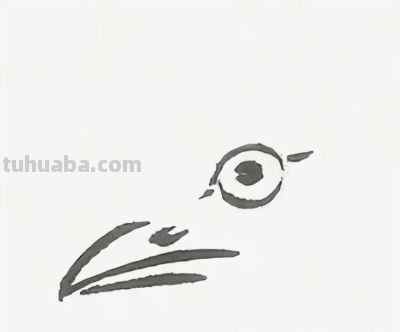 禽鸟绘画入门：从基础形态到灵动姿态 - 图画吧TUHUABA