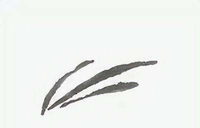 禽鸟绘画入门：从基础形态到灵动姿态 - 图画吧TUHUABA