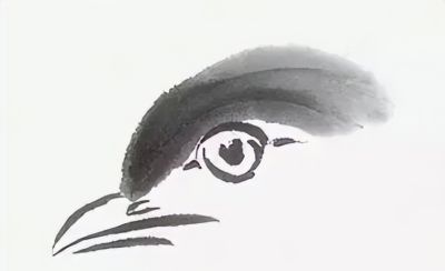 禽鸟绘画入门：从基础形态到灵动姿态 - 图画吧TUHUABA