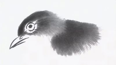 禽鸟绘画入门：从基础形态到灵动姿态 - 图画吧TUHUABA