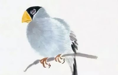 禽鸟绘画入门：从基础形态到灵动姿态 - 图画吧TUHUABA