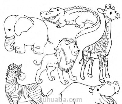 500个动物简笔画线稿资料，收藏备用