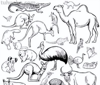 500个动物简笔画线稿资料，收藏备用 - 图画吧TUHUABA