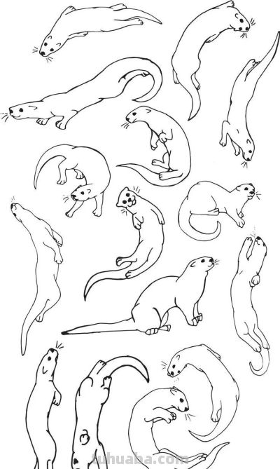 500个动物简笔画线稿资料，收藏备用 - 图画吧TUHUABA