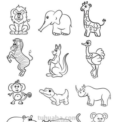 500个动物简笔画线稿资料，收藏备用 - 图画吧TUHUABA