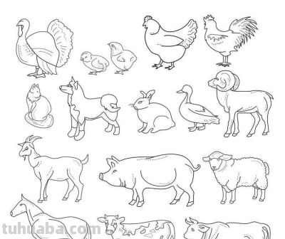 500个动物简笔画线稿资料，收藏备用 - 图画吧TUHUABA