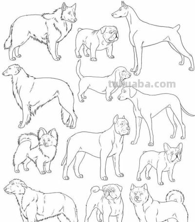 500个动物简笔画线稿资料，收藏备用 - 图画吧TUHUABA