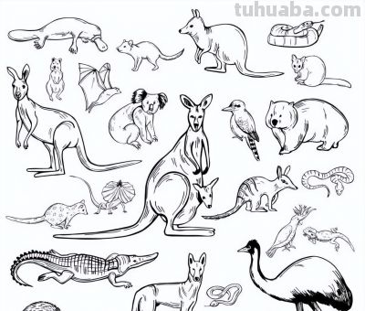 500个动物简笔画线稿资料，收藏备用 - 图画吧TUHUABA