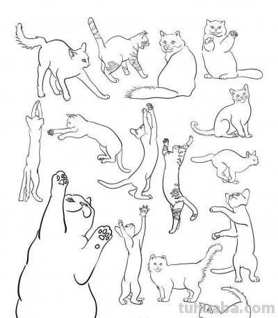 500个动物简笔画线稿资料，收藏备用 - 图画吧TUHUABA