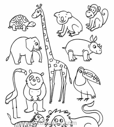 500个动物简笔画线稿资料，收藏备用 - 图画吧TUHUABA
