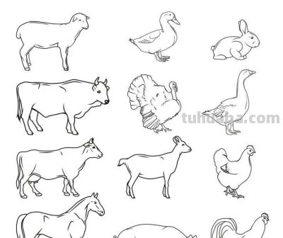 500个动物简笔画线稿资料，收藏备用 - 图画吧TUHUABA
