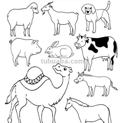 500个动物简笔画线稿资料，收藏备用 - 图画吧TUHUABA