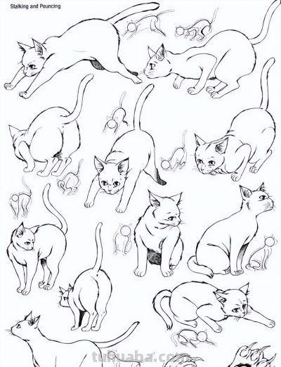 500个动物简笔画线稿资料，收藏备用 - 图画吧TUHUABA