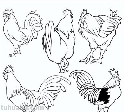 500个动物简笔画线稿资料，收藏备用 - 图画吧TUHUABA