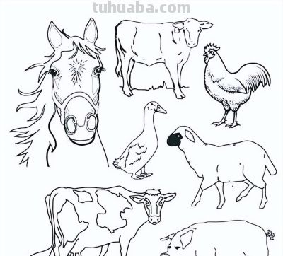 500个动物简笔画线稿资料，收藏备用 - 图画吧TUHUABA